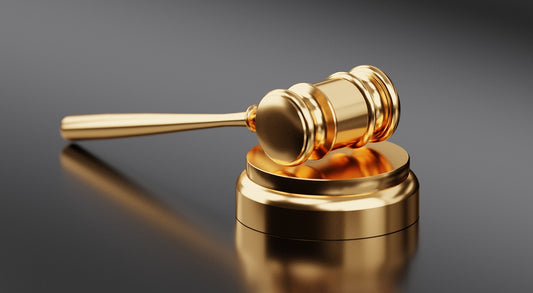 To Be or Not to Be a Juror: You Decide